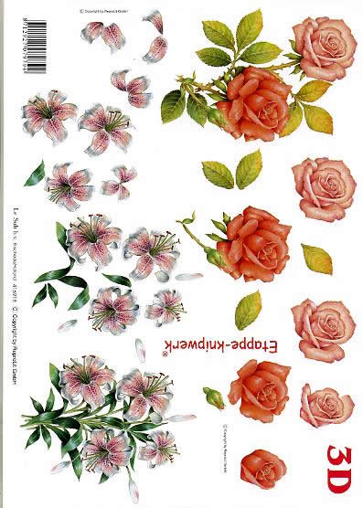 3D-Bogen LeSuh 416918