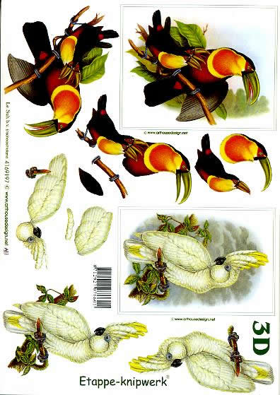 3D-Bogen LeSuh 4169197