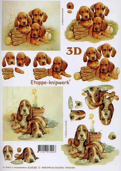 3D-Bogen LeSuh 4169251