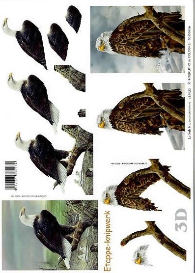 3D-Bogen LeSuh 416932