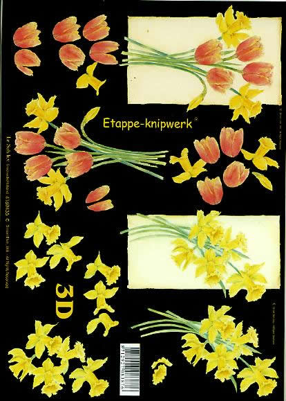 3D-Bogen LeSuh 4169435