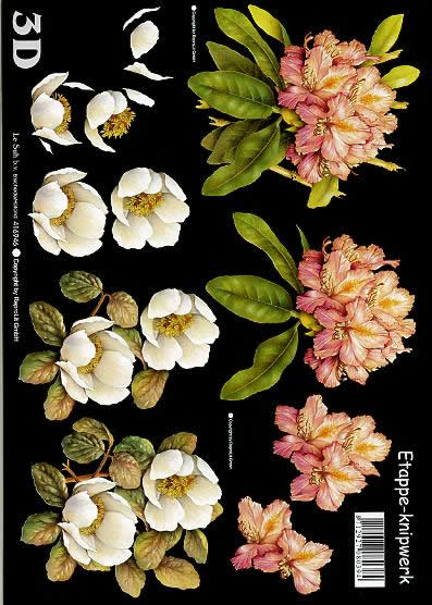 3D-Bogen LeSuh 416946