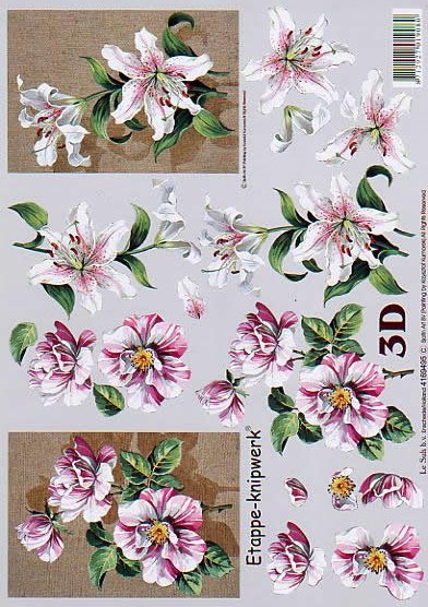 3D-Bogen LeSuh 4169495