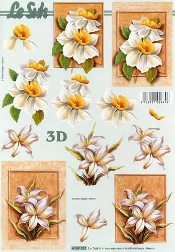 3D-Bogen LeSuh 4169727