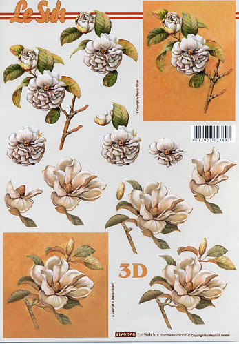 3D-Bogen LeSuh 4169758