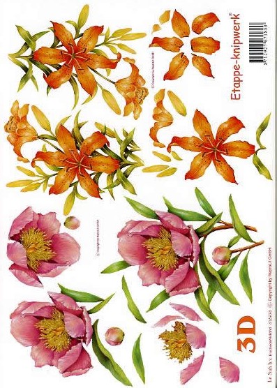 3D-Bogen LeSuh 416978