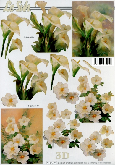 3D-Bogen LeSuh 4169974