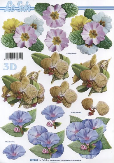 3D-Bogen LeSuh 777.250 Blten
