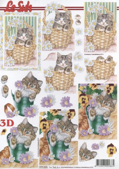 3D-Bogen LeSuh 777.255 Ktzchen