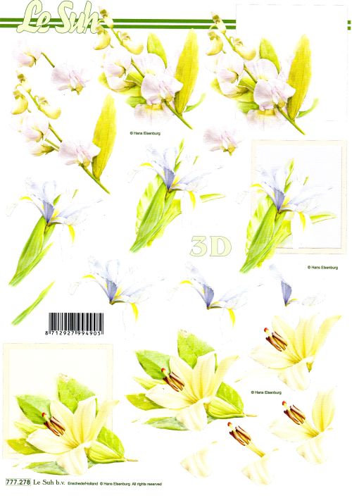 3D-Bogen LeSuh 777.278 Blten