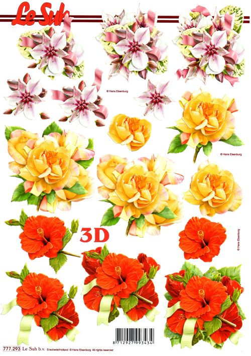 3D-Bogen LeSuh 777.293 Blten