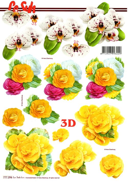 3D-Bogen LeSuh 777.296 Orchideen und Blten