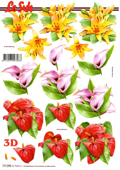 3D-Bogen LeSuh 777.298 Rote Anthurie