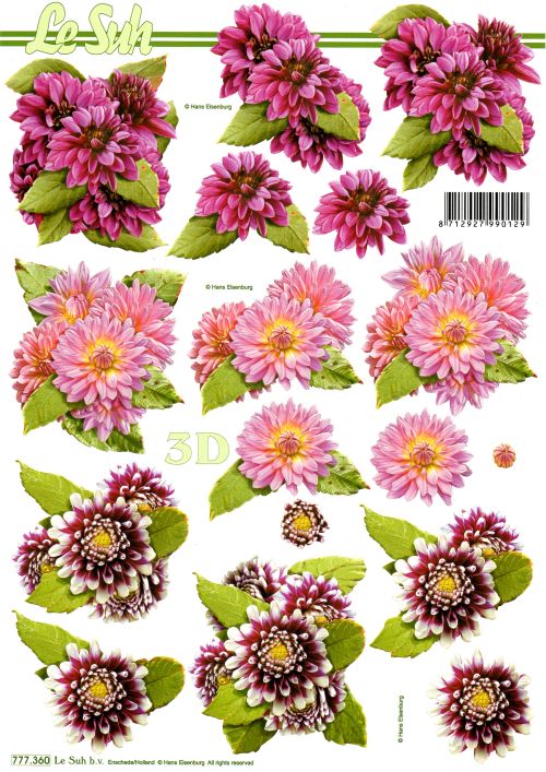3D-Bogen LeSuh 777.360 Dahlien