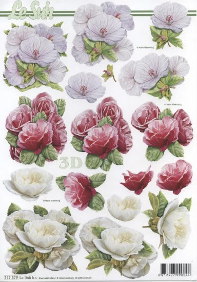 3D-Bogen LeSuh 777.379 Blten