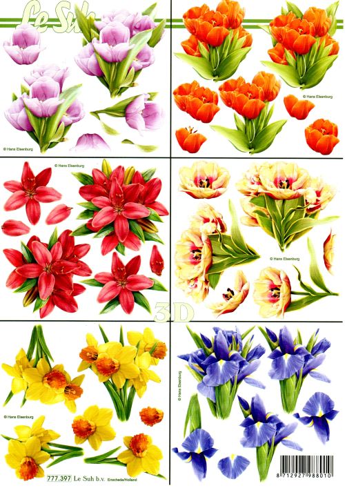 3D-Bogen LeSuh 777.397 Frhlingsblumen klein