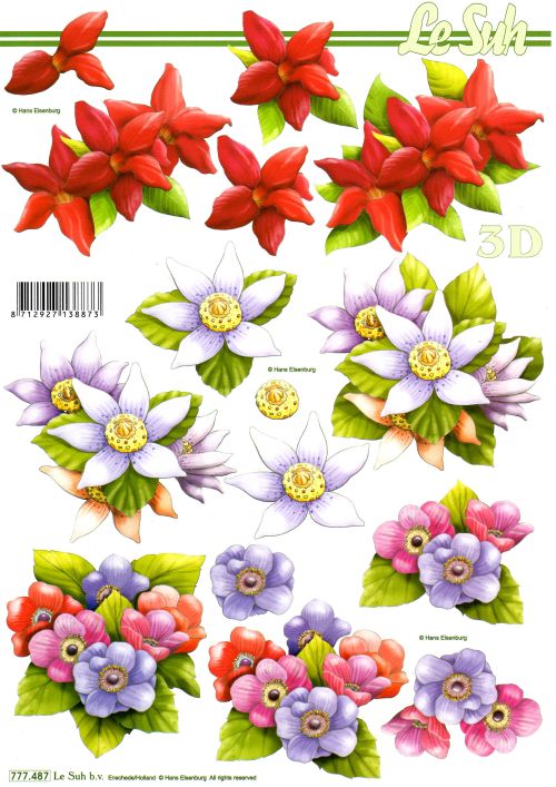 3D-Bogen LeSuh 777.487 Blten