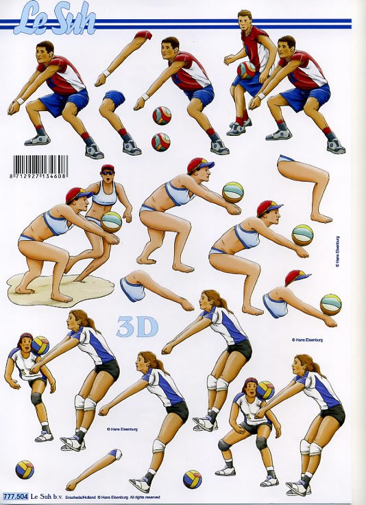 3D-Bogen LeSuh 777.504 Volleyball
