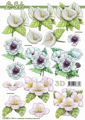 3D-Bogen LeSuh 777.527 Blten