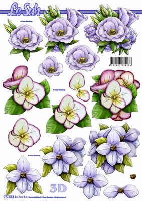 3D-Bogen LeSuh 777.534 Blten