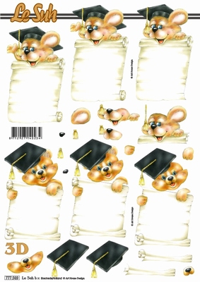3D-Bogen LeSuh 777.569 Zeugnis