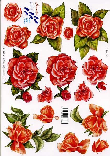 3D-Bogen Nouvelle 8215114