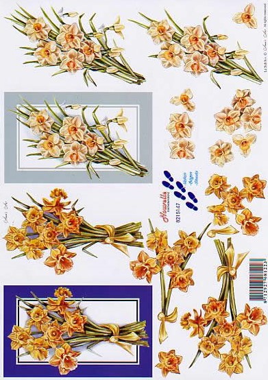 3D-Bogen LeSuh 8215147 Narzissen