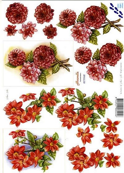 3D-Bogen LeSuh 8215165 Dahlien