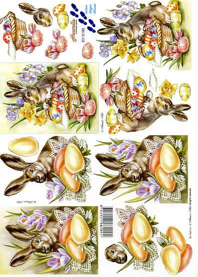 3D-Bogen Nouvelle 8215180