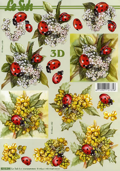 3D-Bogen Nouvelle 8215244