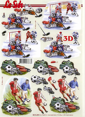 3D-Bogen LeSuh 8215294 Eishockey und Fuball