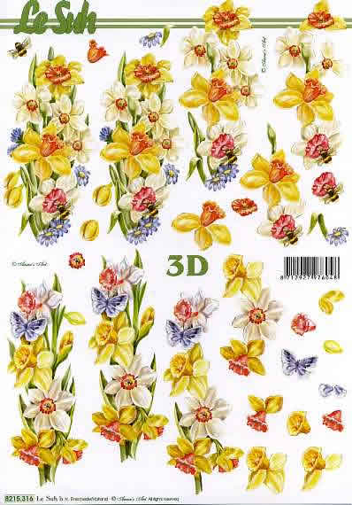 3D-Bogen Nouvelle 8215316