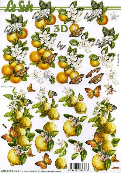 3D-Bogen Nouvelle 8215323