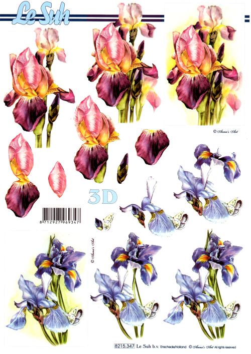 3D-Bogen LeSuh 8215347 Iris