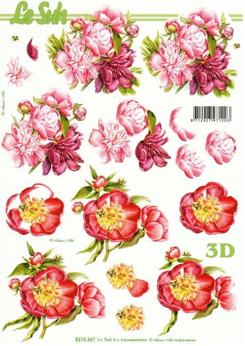 3D-Bogen LeSuh 8215367 Pfingstrosen