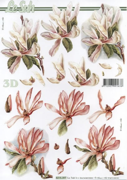 3D-Bogen LeSuh 8215397 Blten
