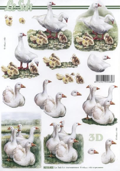 3D-Bogen Nouvelle 8215403