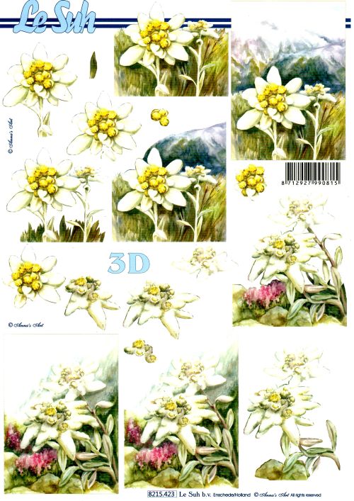 3D-Bogen LeSuh 8215423 Edelwei