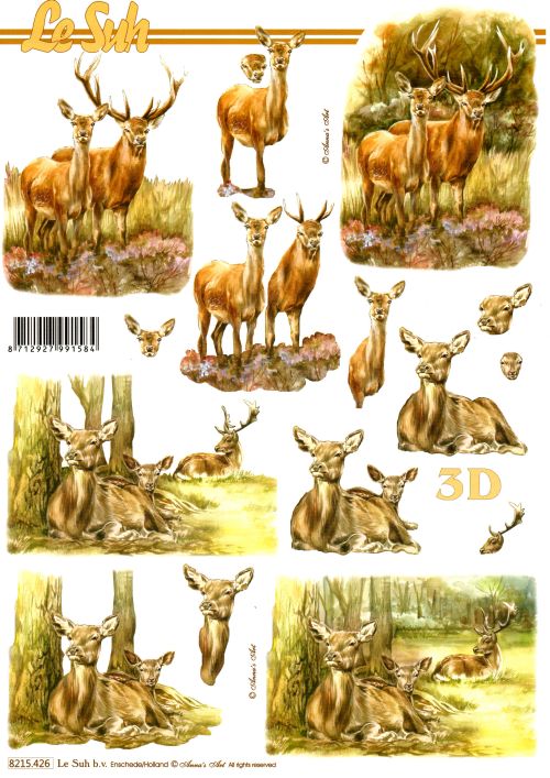 3D-Bogen Nouvelle 8215426