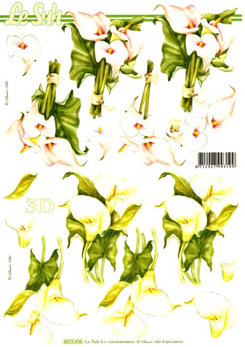 3D-Bogen LeSuh 8215436 Calla