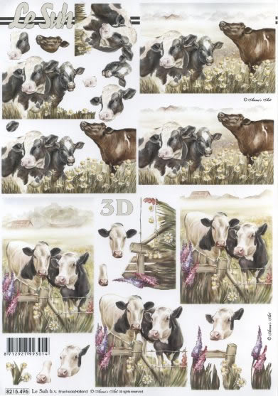 3D-Bogen Nouvelle 8215496