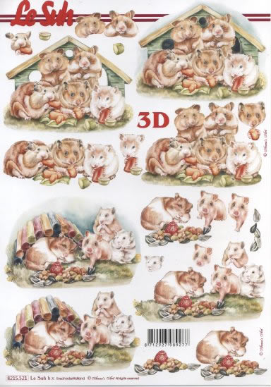 3D-Bogen Nouvelle 8215521