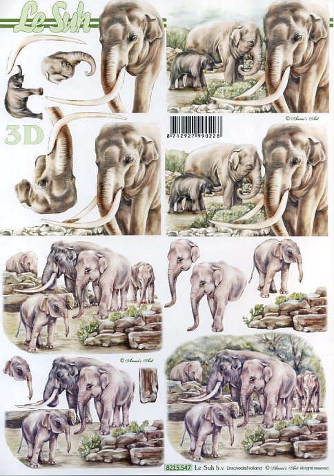 3D-Bogen Nouvelle 8215547