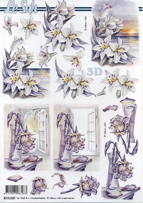 3D-Bogen Nouvelle 8215549