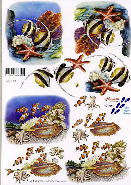 3D-Bogen Nouvelle 821555