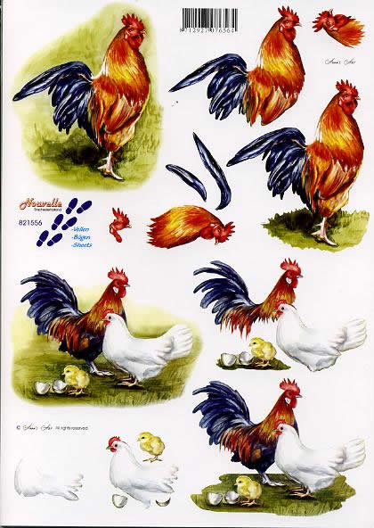 3D-Bogen Nouvelle 821556