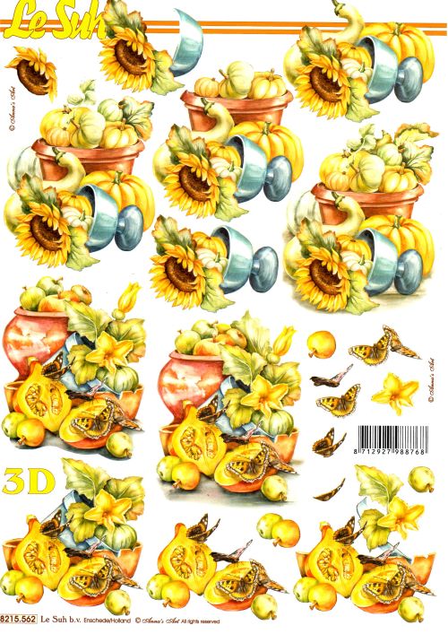 3D-Bogen Nouvelle 8215562