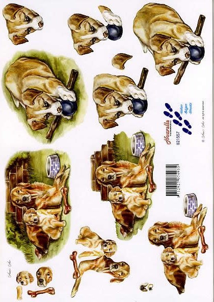 3D-Bogen LeSuh 821557 Hunde