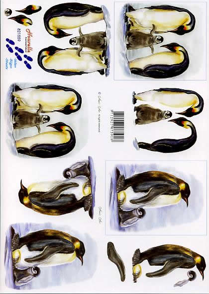 3D-Bogen Nouvelle 821559