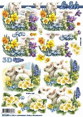 3D-Bogen Nouvelle 8215655